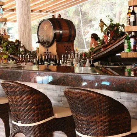 Hotel Pine Valley 4*